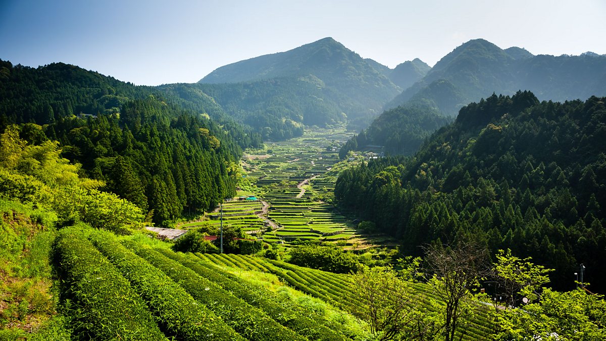 japan earths enchanted islands