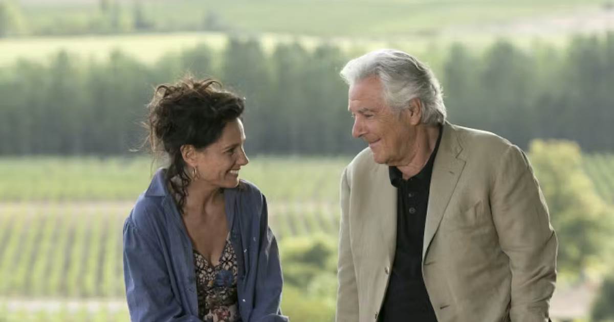 8 Must-Watch French Shows With Stunning Scenery 2 Blood of the Vine